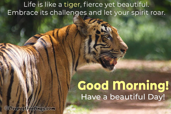 good morning pictures with nice quotes