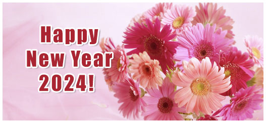 Happy New Year 2024 Greetings: Best WhatsApp wishes HD images